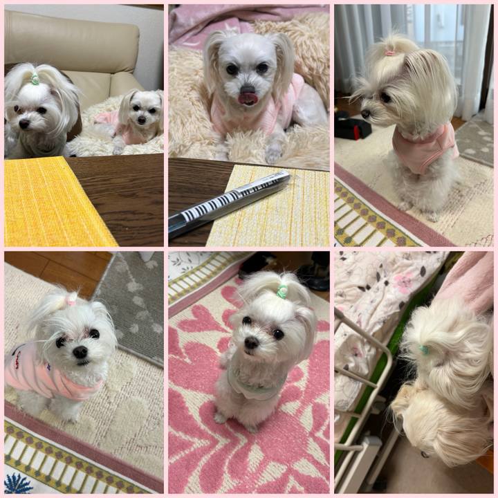 A2a34365 f6e2 4612 97a0 3729138e2787 1768065039543