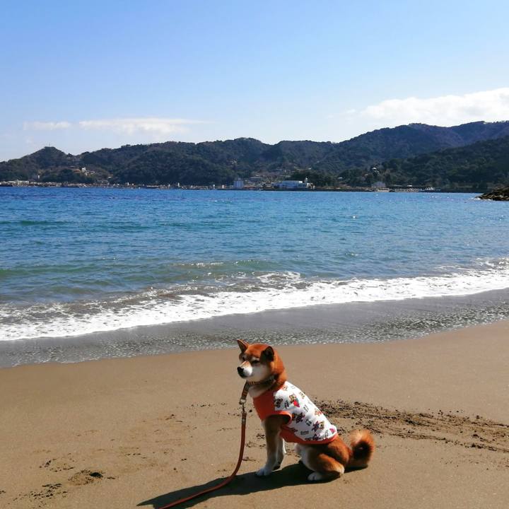 A2a3791e df81 416b a1ff 3ac2b1b2b60d 1678885800978