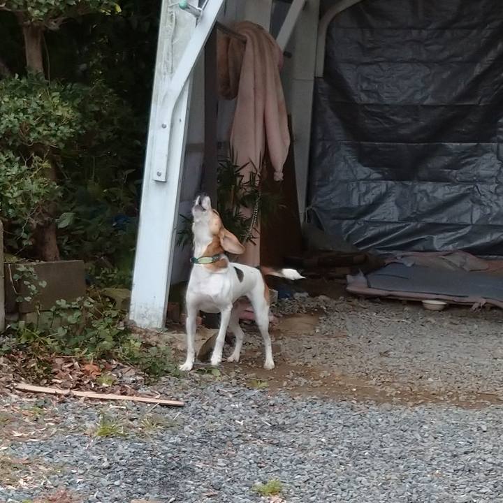 A2a3ab26 93ab 4966 8c81 4ee078cb74af 1602998229350