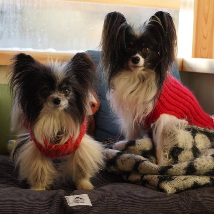 A2a3af4b 0c31 411c 849d eadcf5a47975 1640993064942