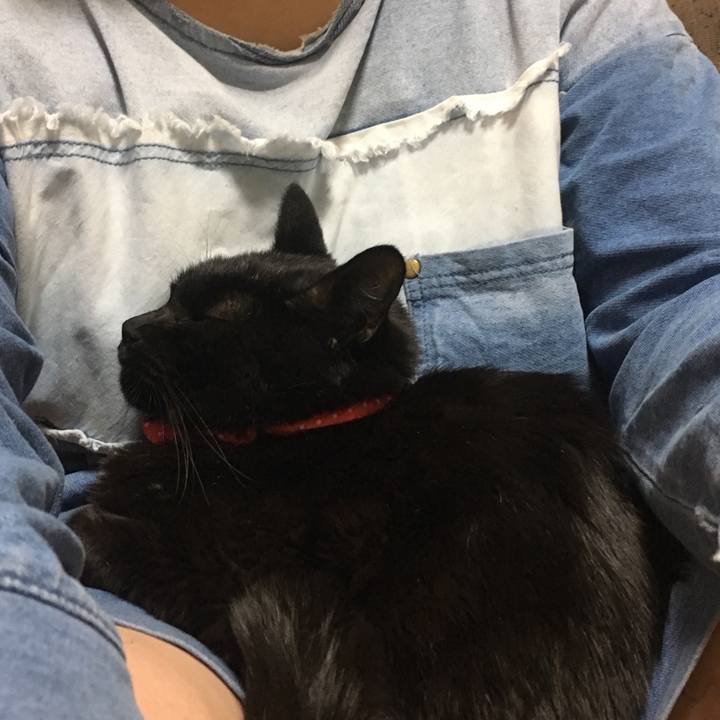 A2a3dd34 4c78 4e51 9283 3ae4fdc5478d 1562450495892