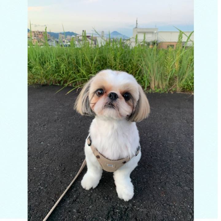 A2a3fdda d085 4264 9595 7798c2e0f52e 1599912231339