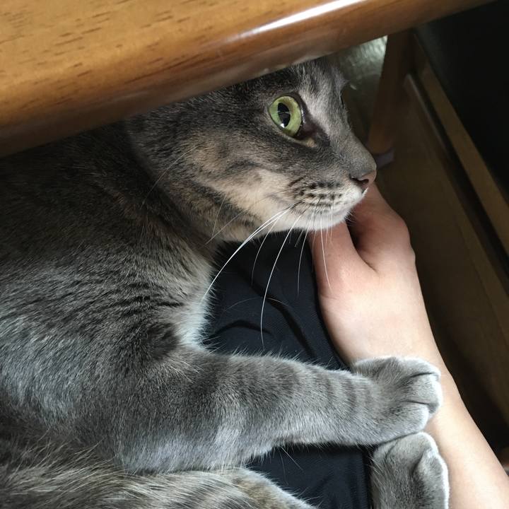 A2a40d10 52fe 4e0d bcc6 ac55282e2c22 1576368483806