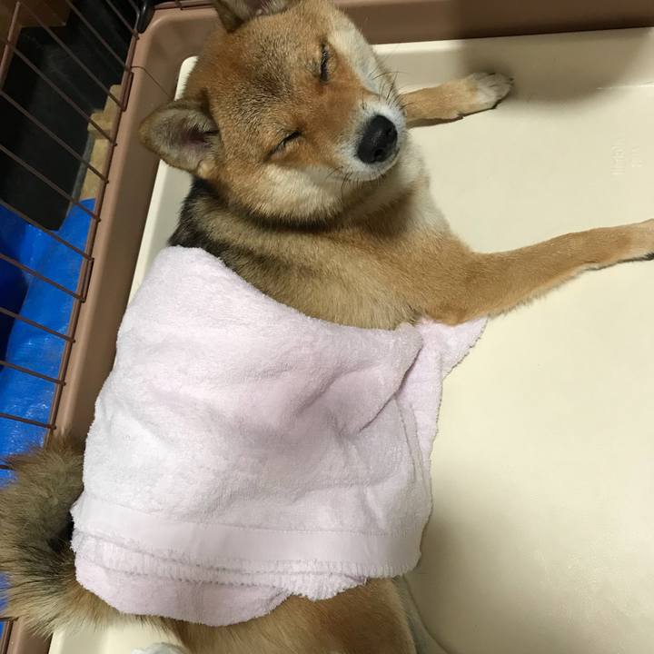 A2a41f97 7872 4ea1 86f6 bfb6788f8ec9 1534659110261