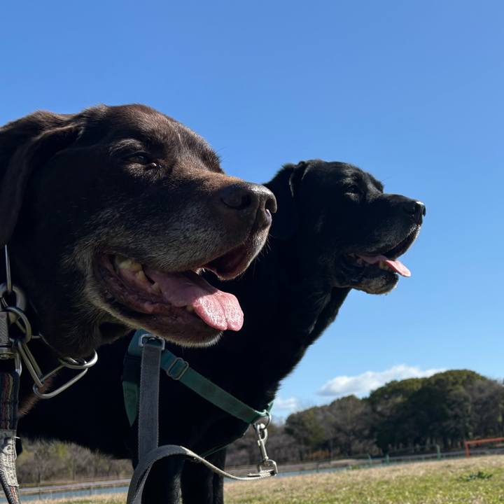 A2a428c7 57ba 4ab4 b424 c4392d34d348 1772453835501