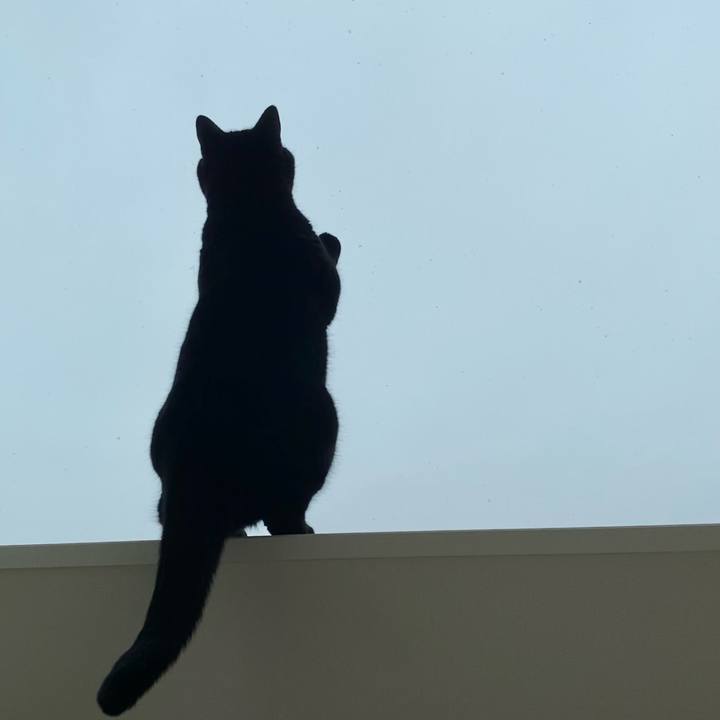 A2a42e7d 0fea 403c 8902 ef6c1f224a3b 1607997475128