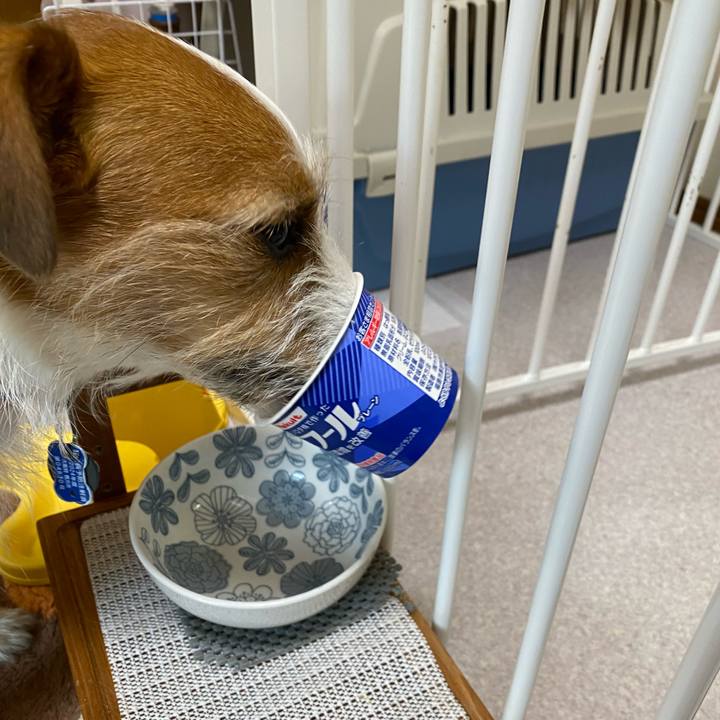 A2a45e88 288a 44d5 8343 1d3428329223 1742390227196