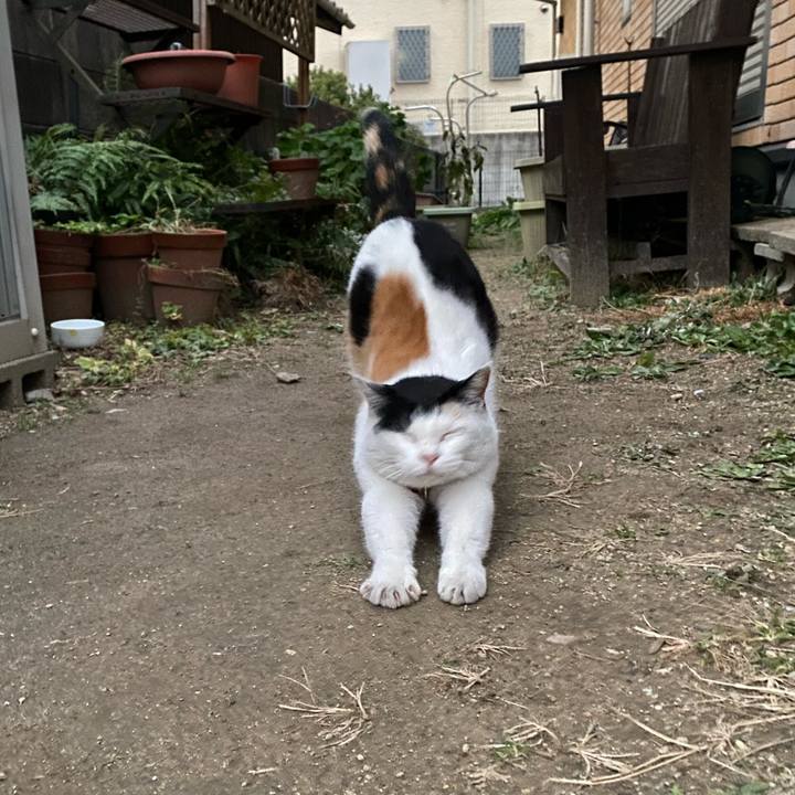 A2a479de 66aa 402f bb87 9669f15bd84e 1640910307004