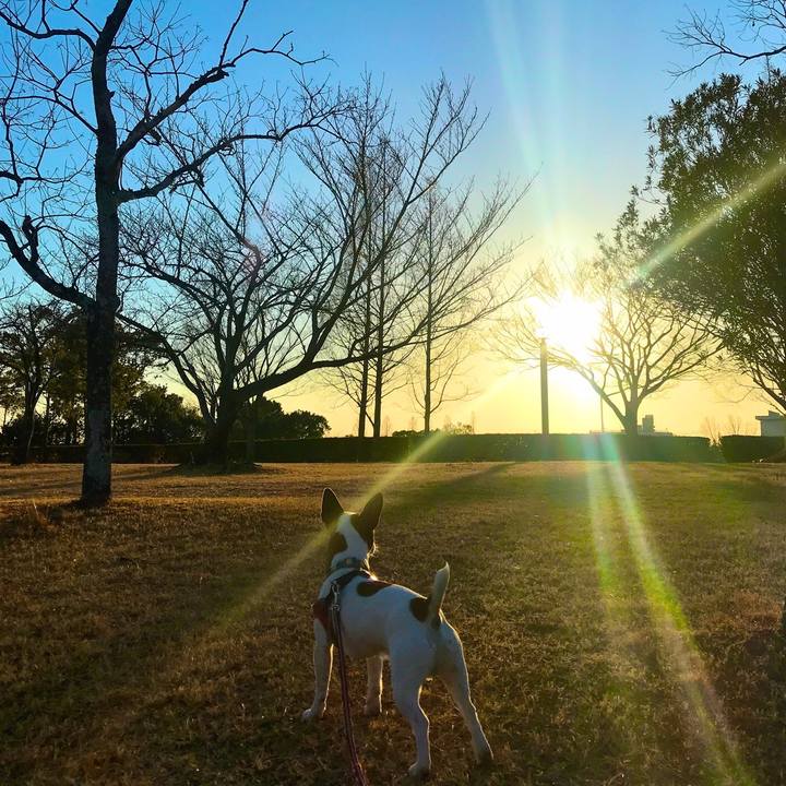 A2a4a30f 2a40 49a5 bc60 318dfbaad09d 1517678791607