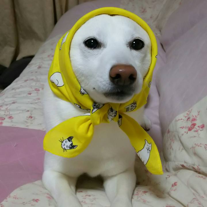 A2a4bdfc d034 4132 99f3 5b198e5bf9a3 1521375300823