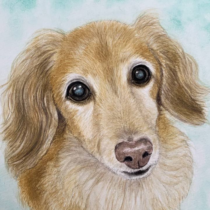 A2a4dc0a 52d7 41bc bf6c 82d2860e0d97 1695435271790