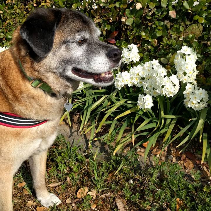 A2a4f9c8 0a3d 477d a3df 88aa421faca0 1521073565156