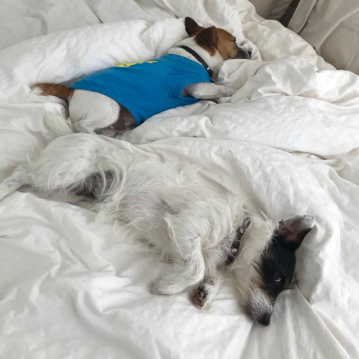 A2a4fa6d 42f6 4833 8acb 5d12cf610200 1528160402247