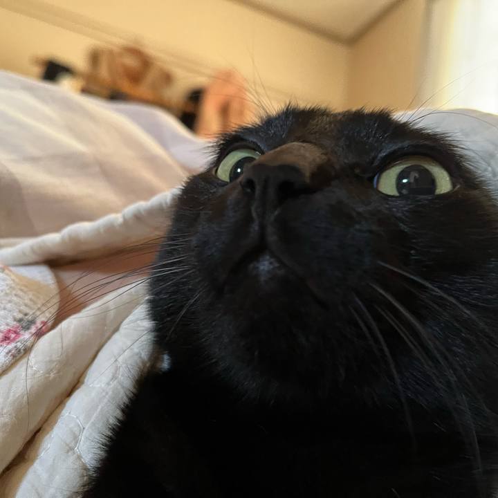 A2a50910 ac2b 4b84 b942 9aa46c4a0545 1741478815514