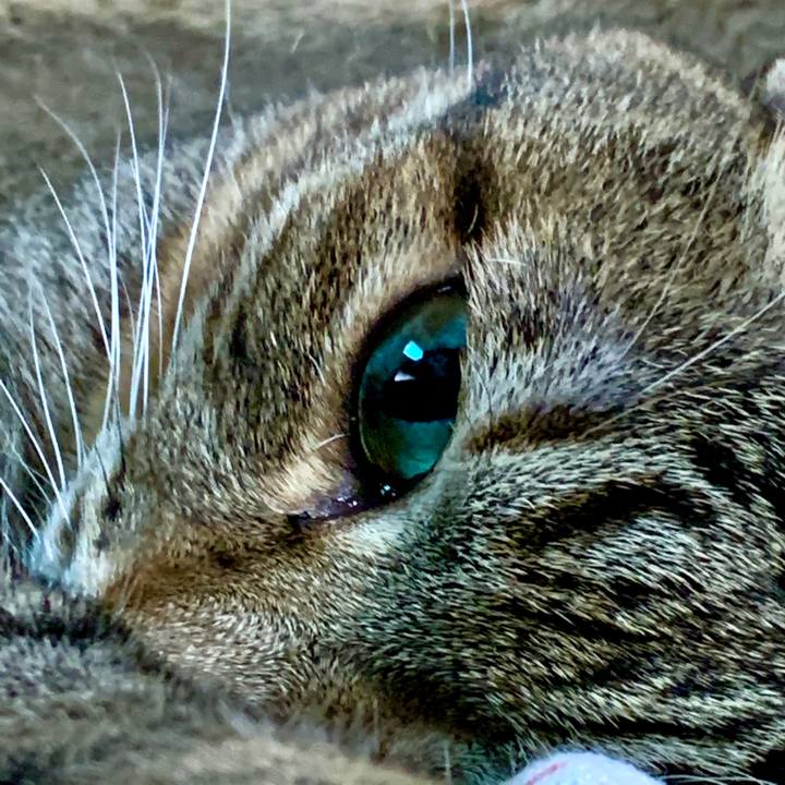 A2a53c82 599b 4ad2 8161 b33a72f9991d 1596166189785