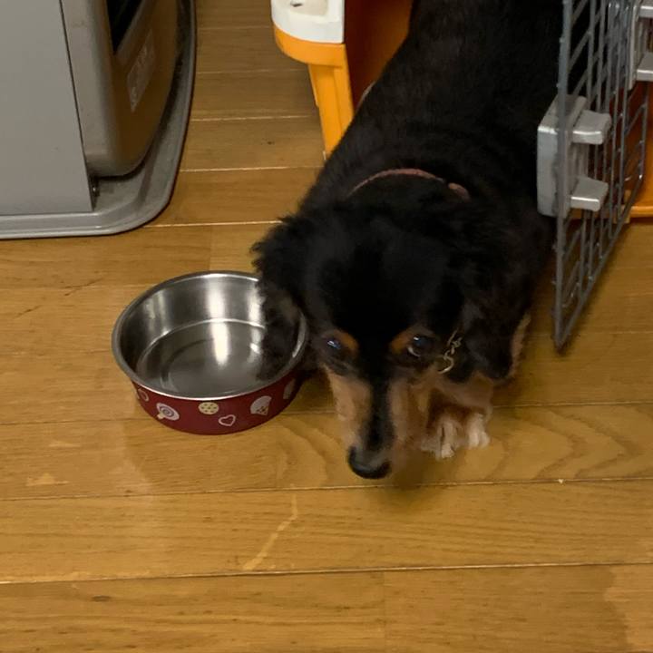 A2a562b0 37f5 4ec7 b761 ce0aee9c81d9 1594764790261