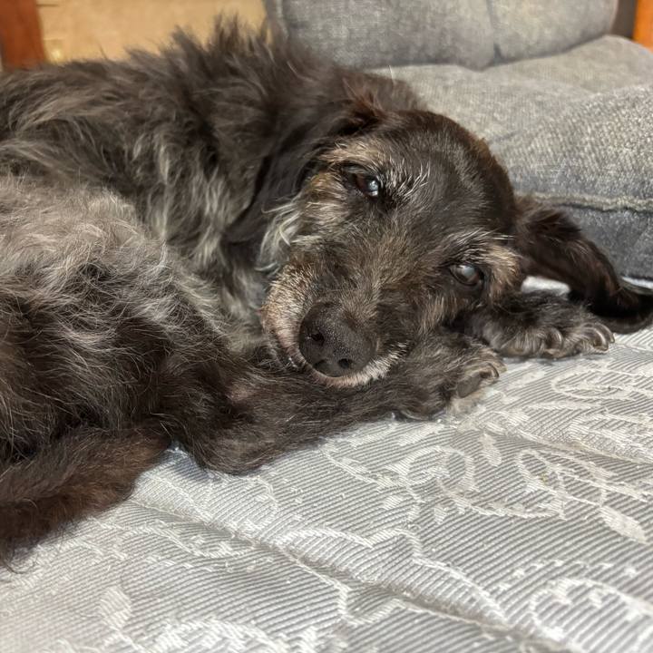 A2a56ef5 0db1 4bbf a807 692b2bdb17c8 1752708799691