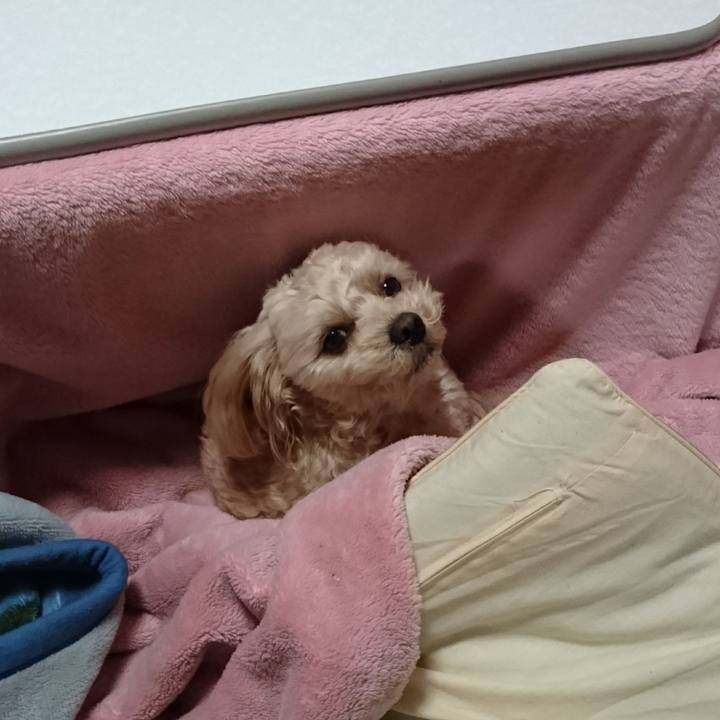 A2a60198 8389 479a ae65 9328acd319a0 1515143905052