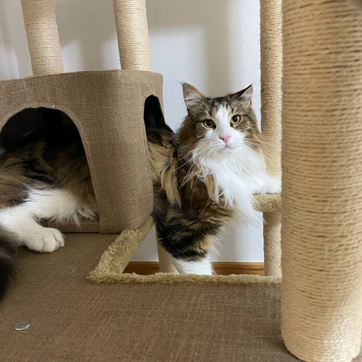 A2a61bed 8086 4c3d 9f87 3d163e2499d2 1678045668921