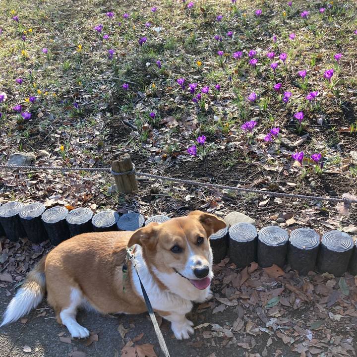 A2a62ed6 4898 4579 858b ddb5b25d4a83 1741831233772