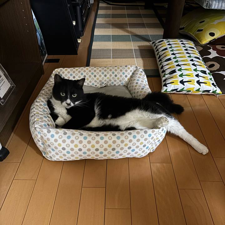 A2a67df4 1d85 4cd2 942b 3307e7cac5b6 1758596857621