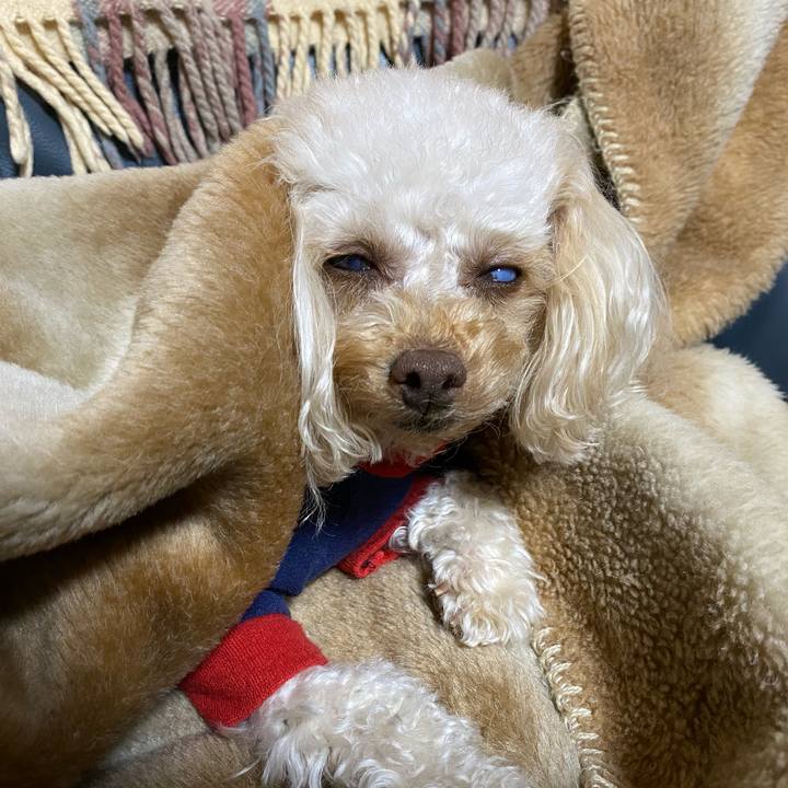 A2a6a867 8227 44f6 a9ce 13421146d19b 1615809380448