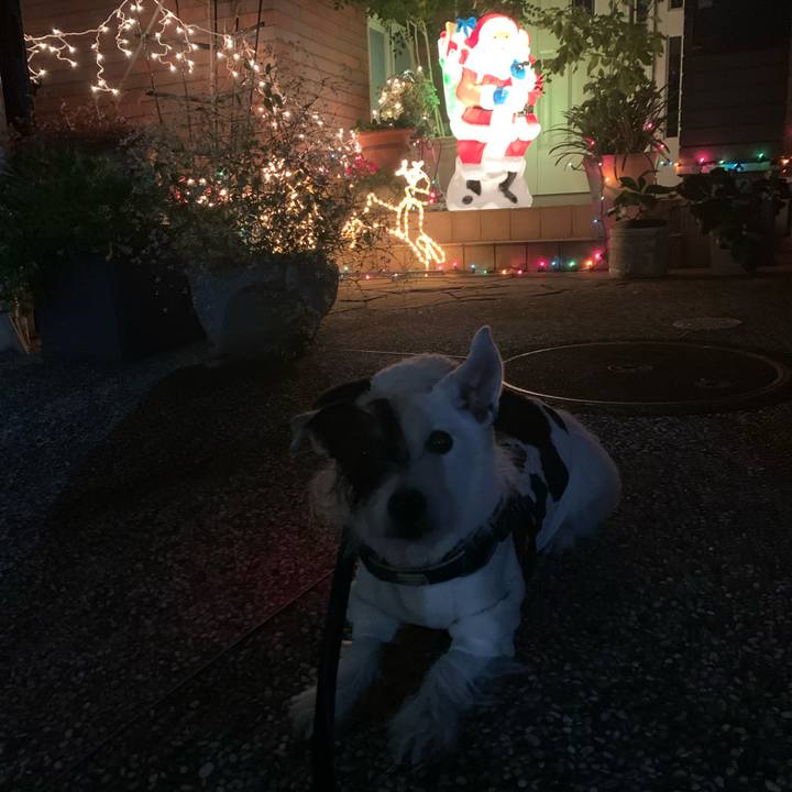 A2a6dbc4 5871 4774 8bfa 32aa43fe72ad 1701694311617