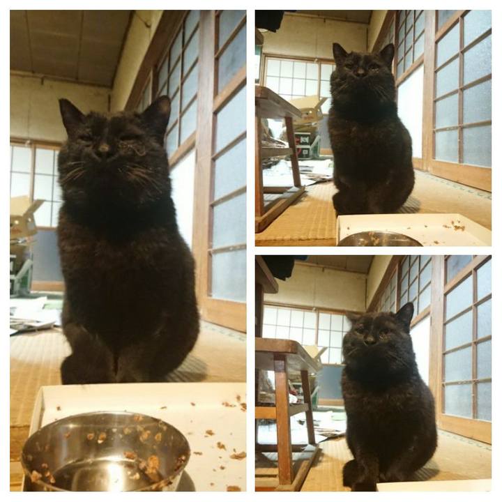 A2a6e66a a950 4148 bff9 1ce87778e485 1617705833849