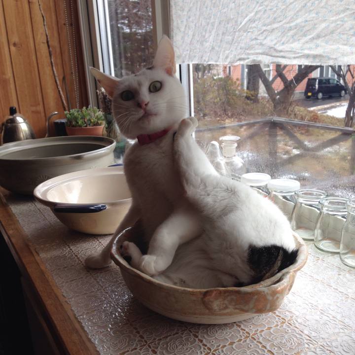 A2a6f34b def9 47a1 a57e facdf540918f 1511052395108