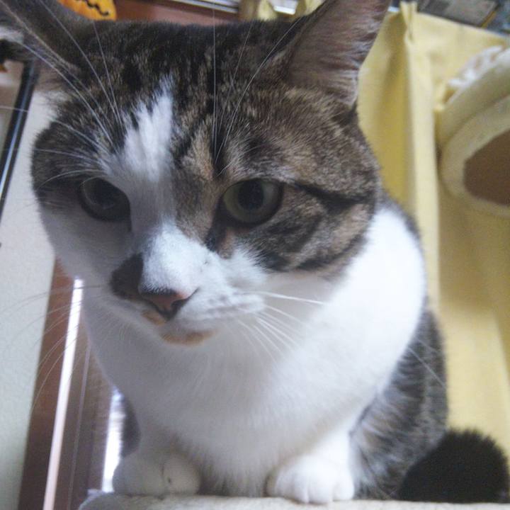 A2a6f7ef 5e18 49a9 bb52 5a6aacadad86 1659574157003