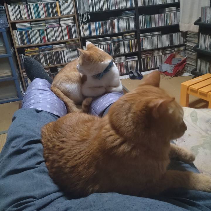 A2a72ee9 2c21 45ca ad35 2bd55e134f37 1739878001533