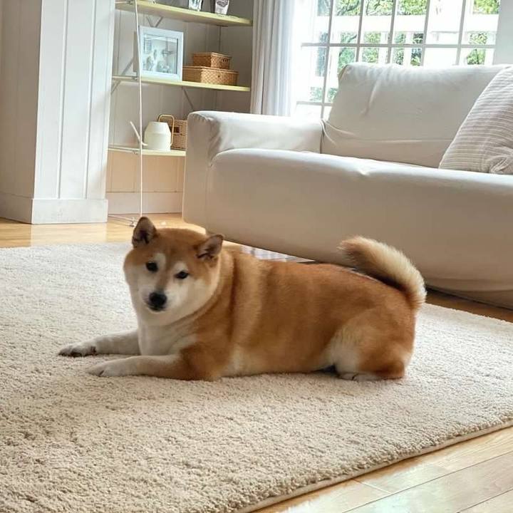 A2a76522 c630 439b 9e30 5339e54a4157 1686956506097