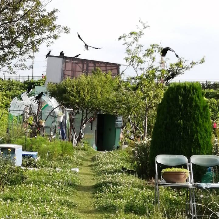 A2a77869 7c9c 431e 9de5 7911ad2fe821 1592783745678