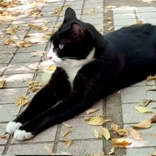 A2a7a537 1afd 4233 b315 7ed4bb766d86 1754013792368