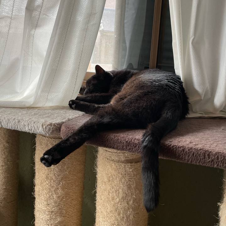 A2a7abb6 c5ae 42e7 9e3c 7bf6c1cea30f 1662942410060