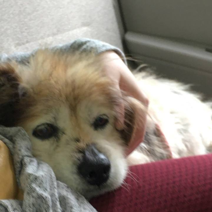 A2a7b99f 2702 4dbb 873c 3289e61d7397 1610223484448