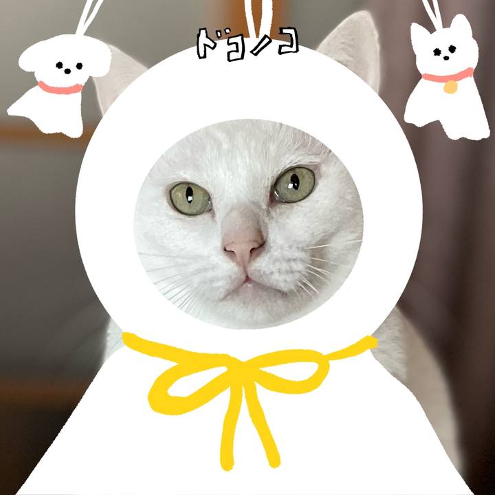 A2a7bcc6 2448 4c24 b82b d8d99e7ede0c 1781660136259