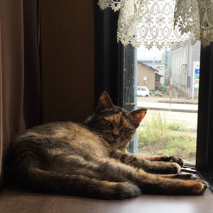 A2a7d4a3 5c7d 464c b4ec 2128961eb378 1569372208011