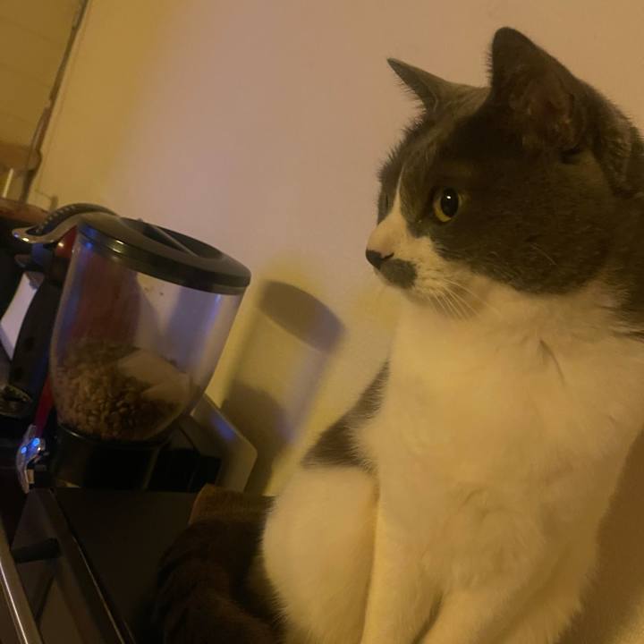 A2a7d54e 8f6e 413a b855 af5f6e1d41b8 1736376184474