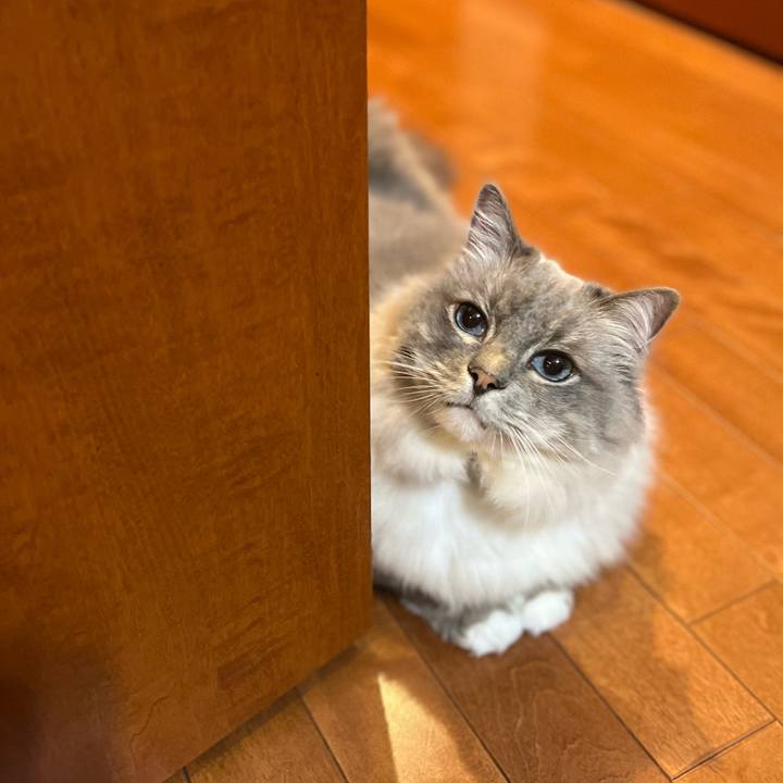 A2a7d84d 29de 4b5f b537 de89daf68dac 1653660444433