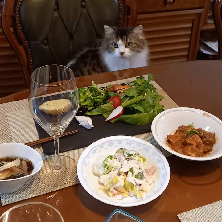 A2a7e9fc 6452 4f49 afde 7cf69bed95c1 1668253262052