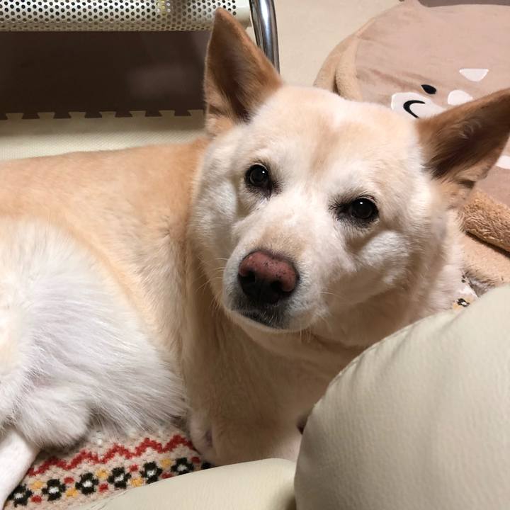 A2a7f5cf 5380 4635 97d1 b38d73fb8fc3 1548943584167