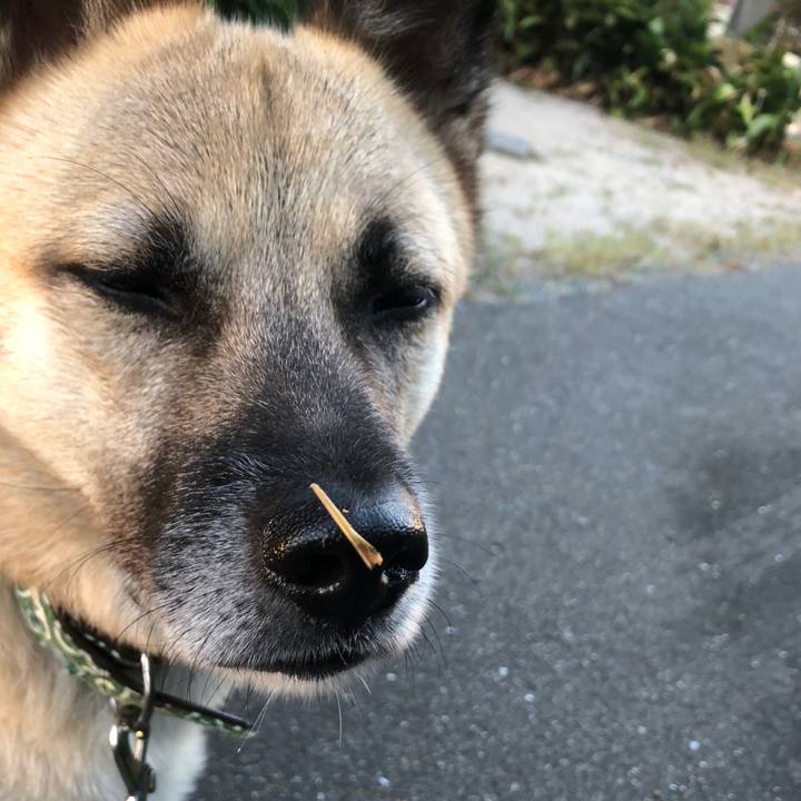 A2a80b87 ec40 473c 8ceb 572d5ceb41e9 1634556557898