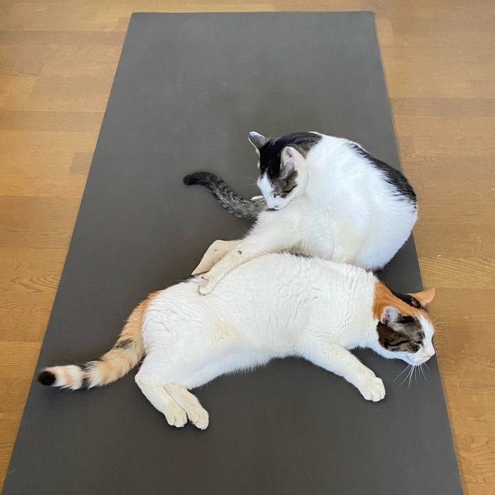 A2a83fc8 3592 4822 b76e 40fe83a7a47b 1635514087370