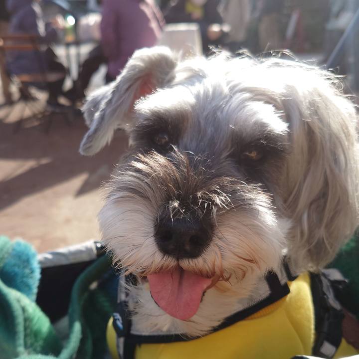 A2a84eab 3bca 483d b540 14862aab3b60 1766185129002