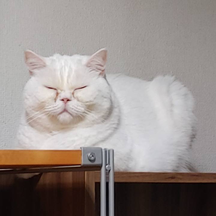 A2a86ee5 95ab 4a72 b791 52bbf64bc30a 1669036538664