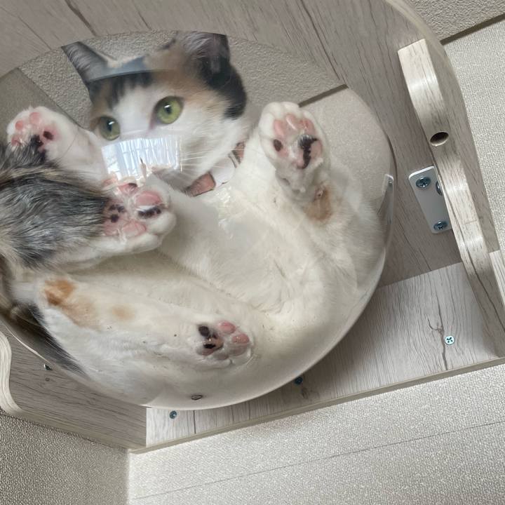 A2a8756a a31e 433b a4c8 94ec868a3cde 1736753333812