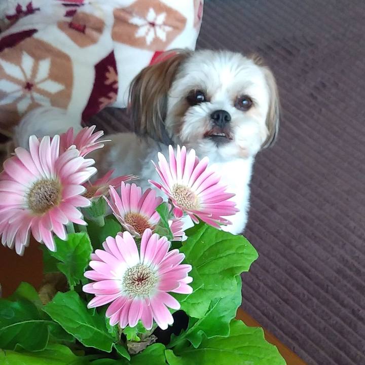 A2a87f51 0623 42d1 beae b73f1f7913b2 1589949670407