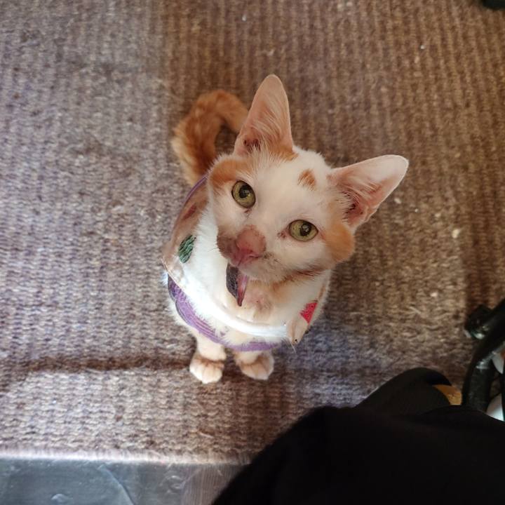 A2a8cd66 11d9 4e88 9e9f df00ecc6d16b 1772626769025