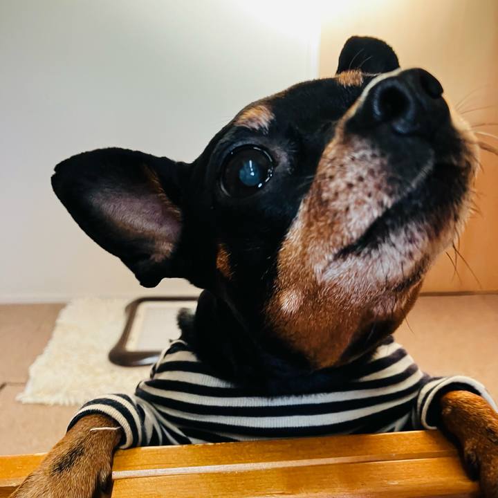 A2a8d264 055a 46c8 9add 805397e6097b 1739014823938